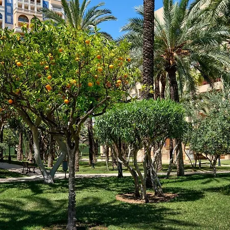 Apartamento El Palmeral Apartment *